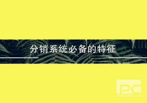 分銷(xiāo)系統(tǒng)